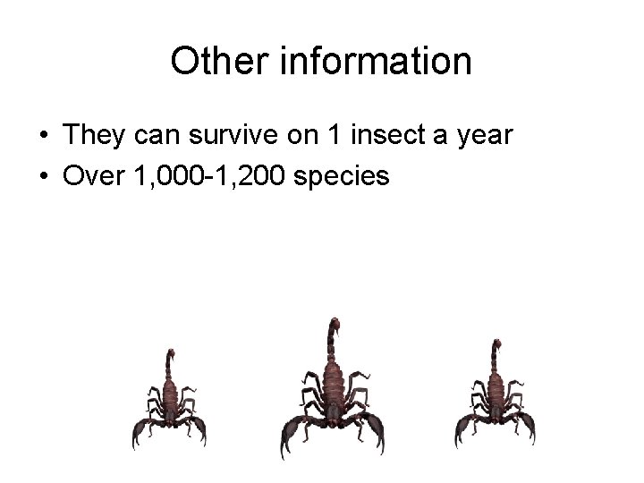 Other information • They can survive on 1 insect a year • Over 1,