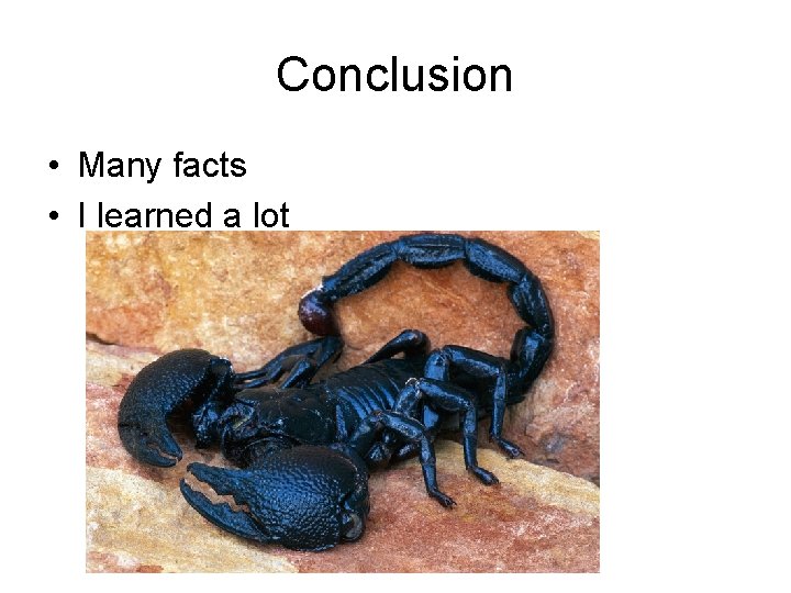 Conclusion • Many facts • I learned a lot 