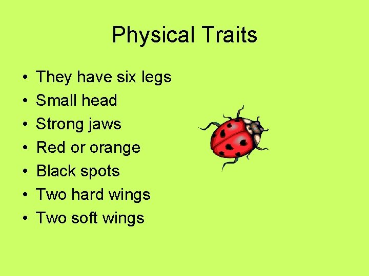 Physical Traits • • They have six legs Small head Strong jaws Red or