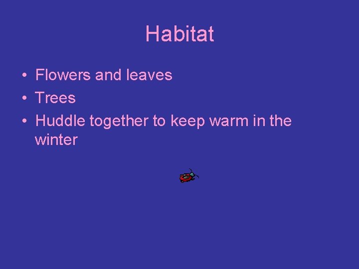 Habitat • Flowers and leaves • Trees • Huddle together to keep warm in
