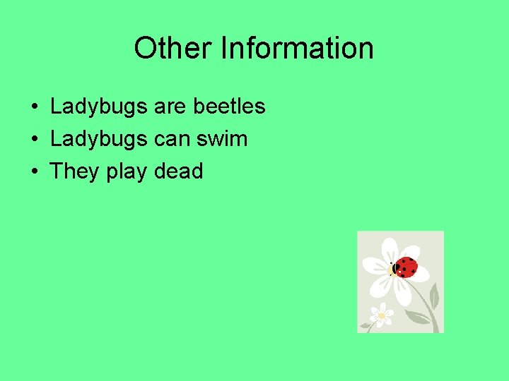 Other Information • Ladybugs are beetles • Ladybugs can swim • They play dead