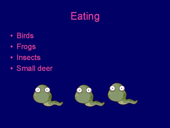 Eating • • Birds Frogs Insects Small deer 