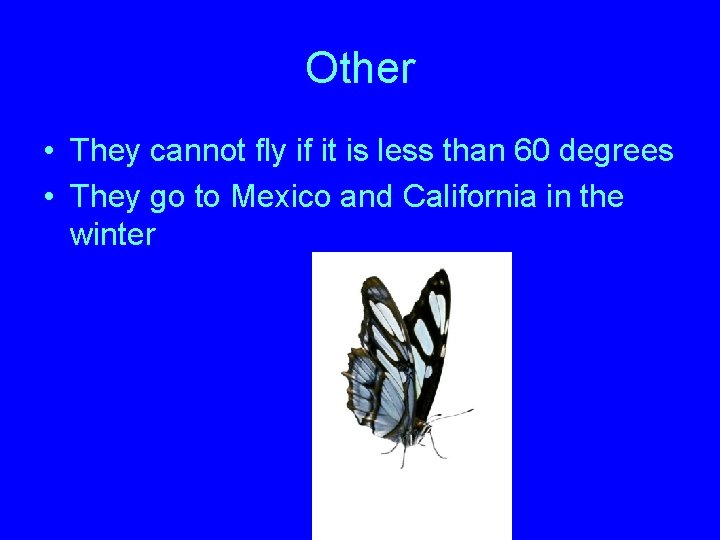 Other • They cannot fly if it is less than 60 degrees • They