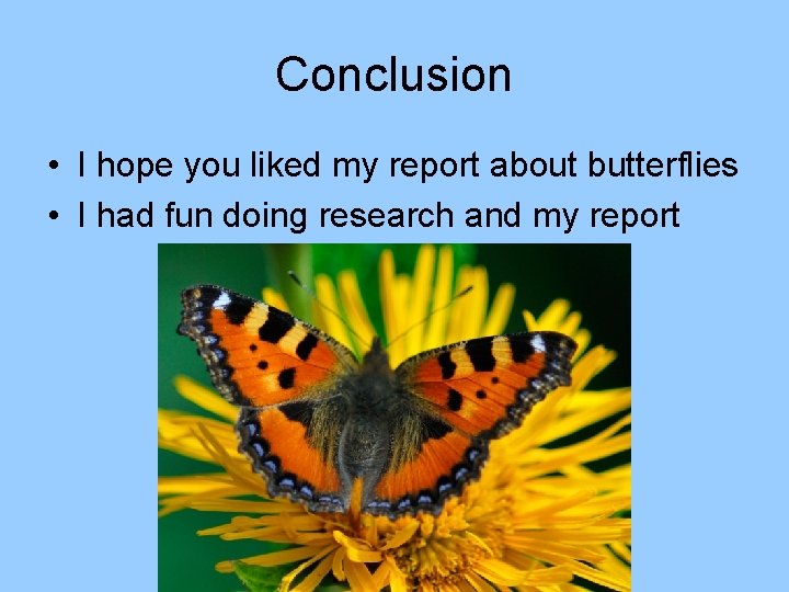 Conclusion • I hope you liked my report about butterflies • I had fun