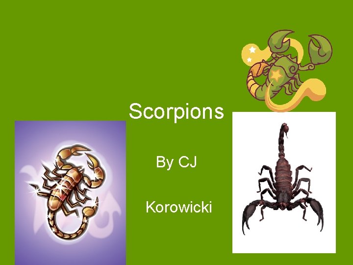 Scorpions By CJ Korowicki 