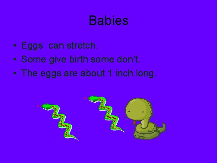 Babies • Eggs can stretch. • Some give birth some don’t. • The eggs