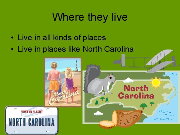 Where they live • Live in all kinds of places • Live in places