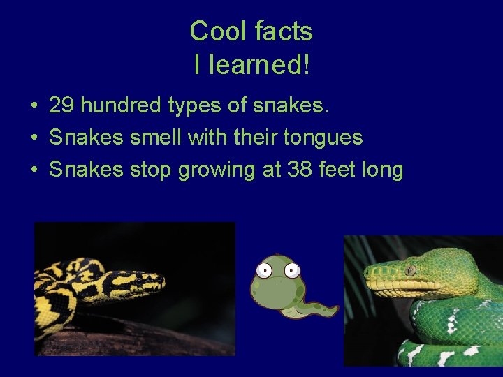 Cool facts I learned! • 29 hundred types of snakes. • Snakes smell with
