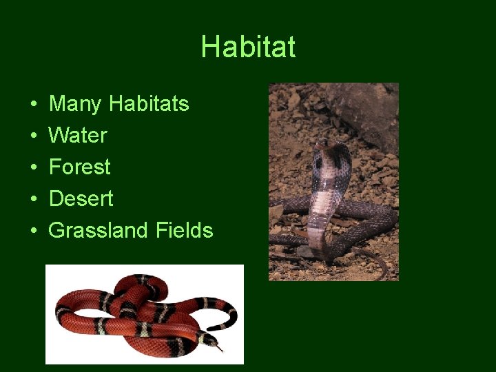 Habitat • • • Many Habitats Water Forest Desert Grassland Fields 