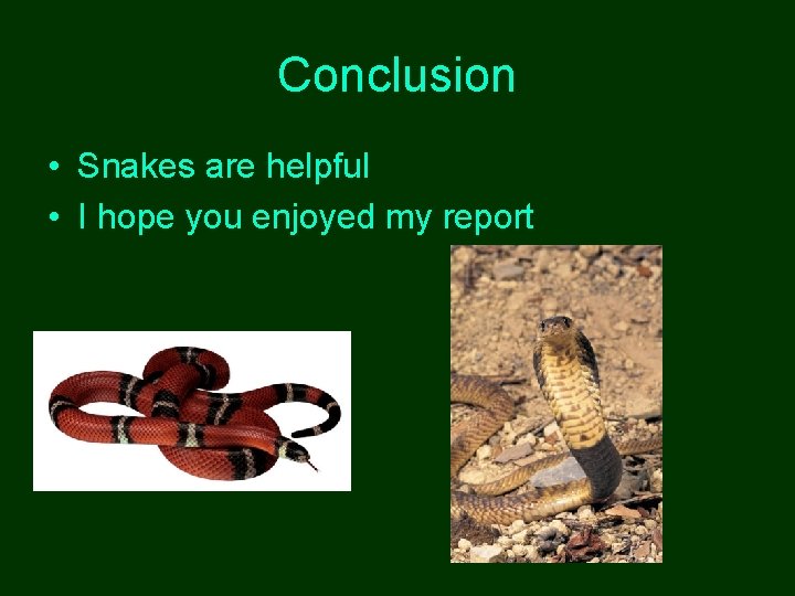 Conclusion • Snakes are helpful • I hope you enjoyed my report 