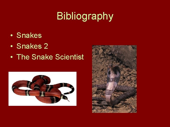 Bibliography • Snakes 2 • The Snake Scientist 
