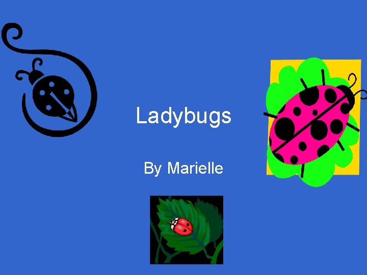Ladybugs By Marielle 