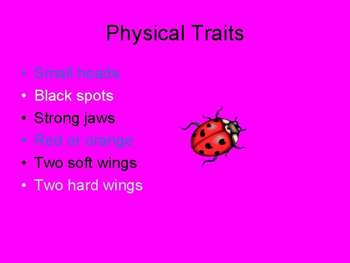 Physical Traits • • • Small heads Black spots Strong jaws Red or orange