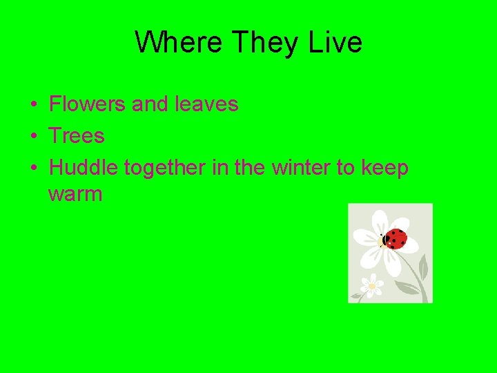 Where They Live • Flowers and leaves • Trees • Huddle together in the