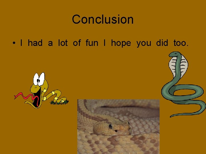 Conclusion • I had a lot of fun I hope you did too. 