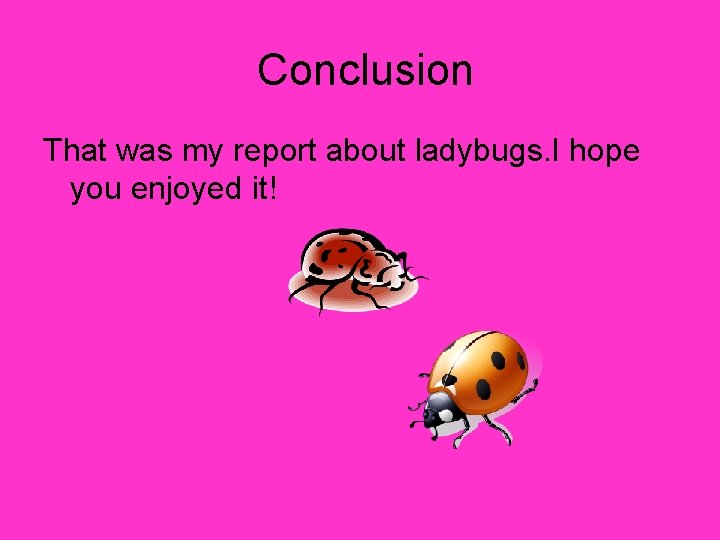 Conclusion That was my report about ladybugs. I hope you enjoyed it! 