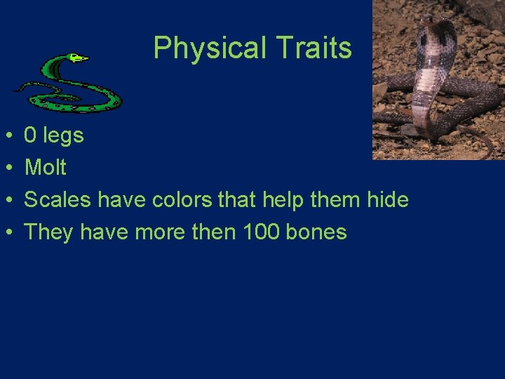 Physical Traits • • 0 legs Molt Scales have colors that help them hide