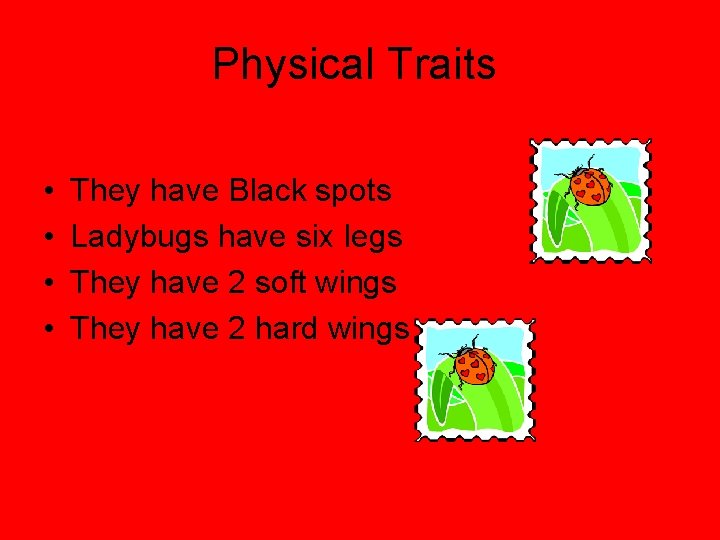 Physical Traits • • They have Black spots Ladybugs have six legs They have