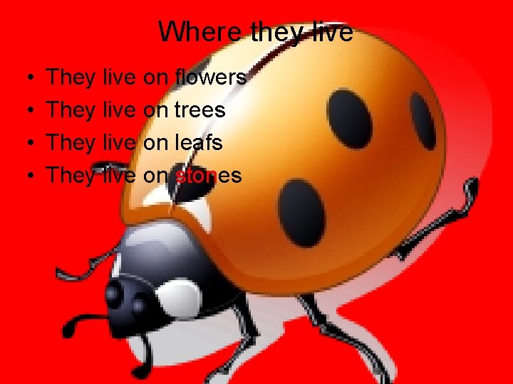 Where they live • • They live on flowers They live on trees They
