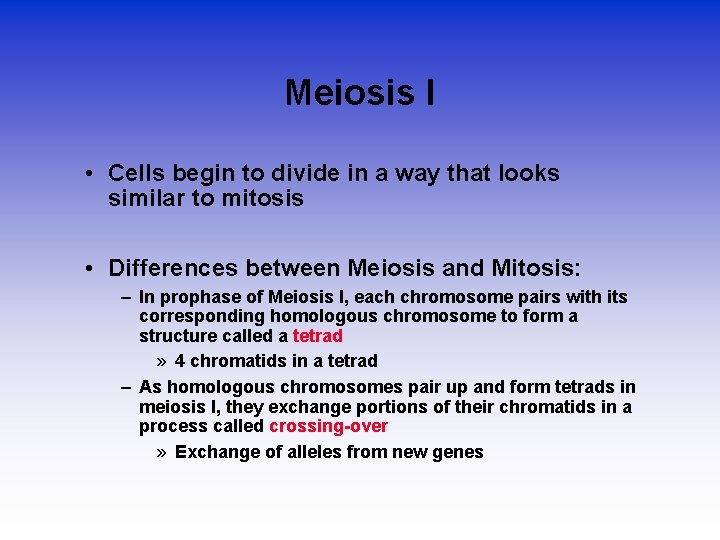 Meiosis I • Cells begin to divide in a way that looks similar to