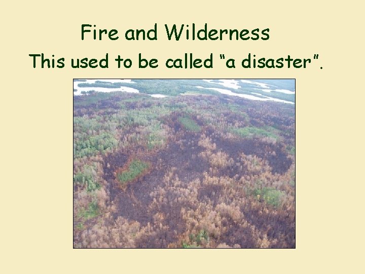 Fire and Wilderness This used to be called “a disaster”. 