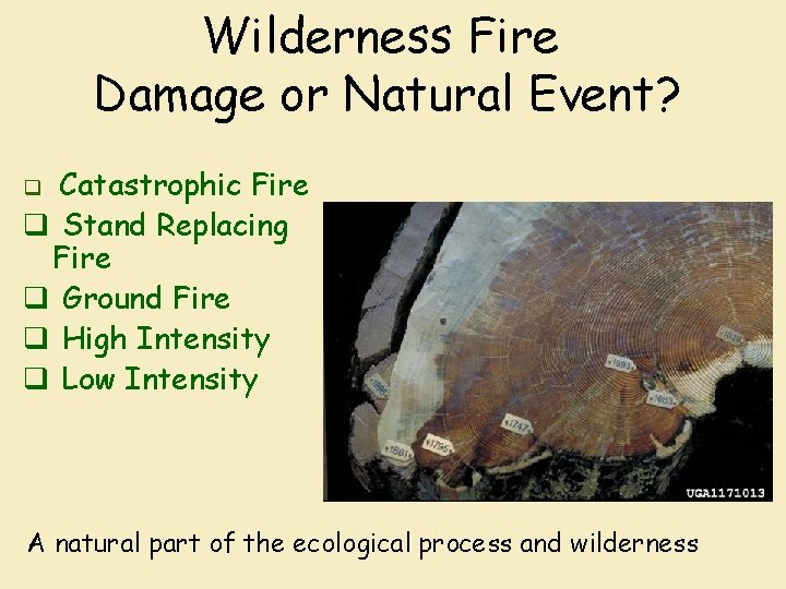 Wilderness Fire Damage or Natural Event? Catastrophic Fire q Stand Replacing Fire q Ground
