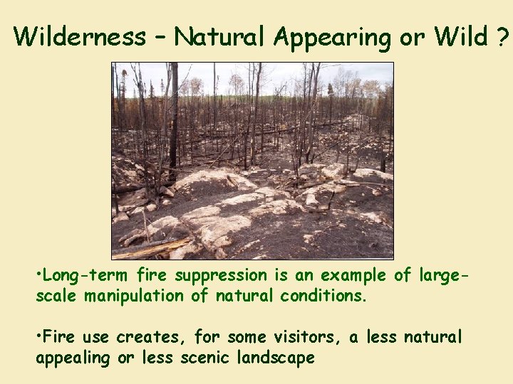 Wilderness – Natural Appearing or Wild ? • Long-term fire suppression is an example