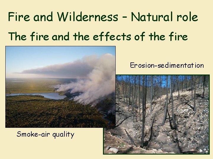 Fire and Wilderness – Natural role The fire and the effects of the fire
