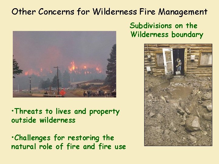 Other Concerns for Wilderness Fire Management Subdivisions on the Wilderness boundary • Threats to