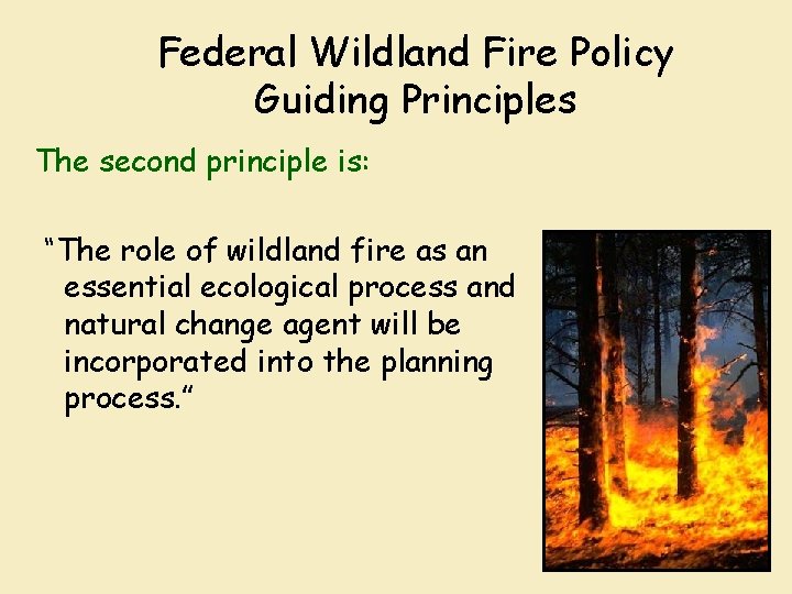 Federal Wildland Fire Policy Guiding Principles The second principle is: “The role of wildland