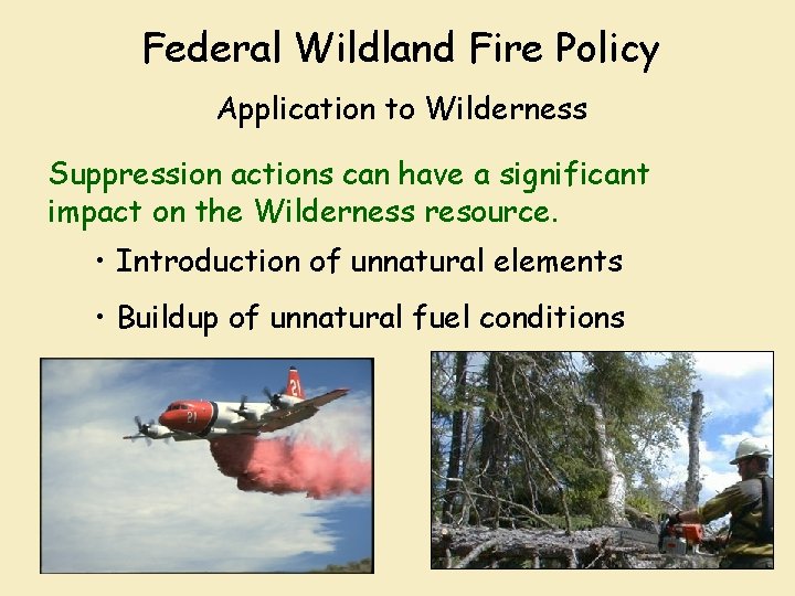 Federal Wildland Fire Policy Application to Wilderness Suppression actions can have a significant impact