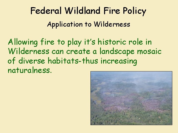 Federal Wildland Fire Policy Application to Wilderness Allowing fire to play it’s historic role