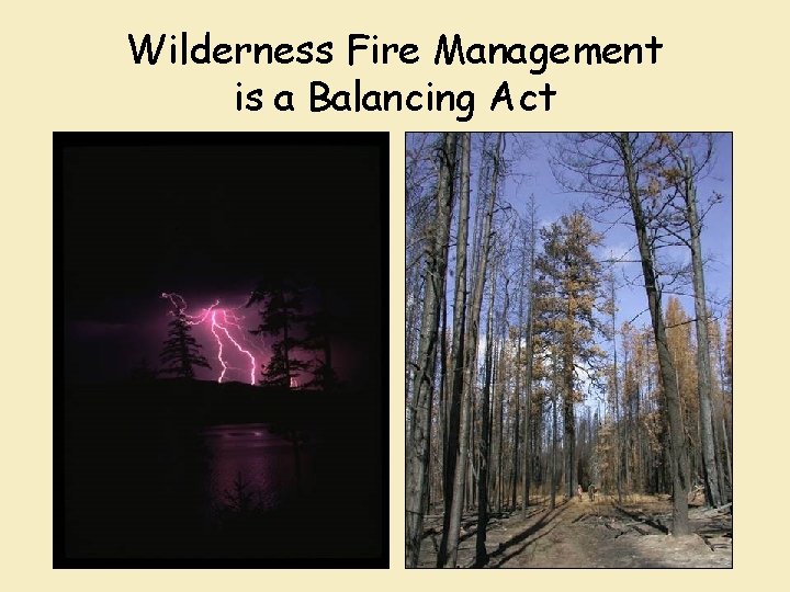 Wilderness Fire Management is a Balancing Act 