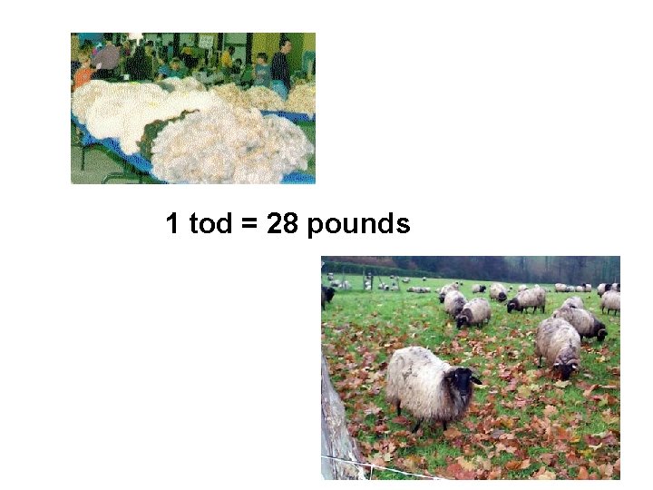 1 tod = 28 pounds 1 tod = 28 pounds