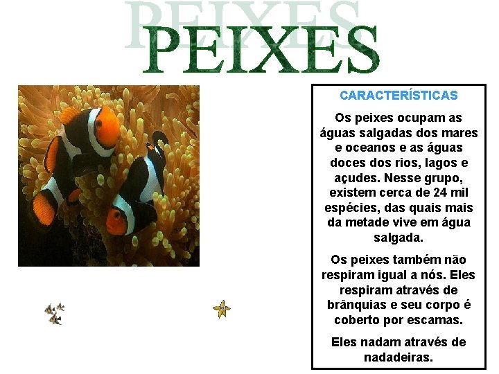 CARACTERÍSTICAS Os peixes ocupam as águas salgadas dos mares e oceanos e as águas