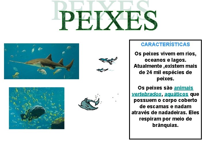 CARACTERÍSTICAS Os peixes vivem em rios, oceanos e lagos. Atualmente , existem mais de