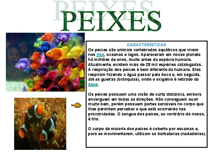 CARACTERÍSTICAS Os peixes são animais vertebrados aquáticos que vivem nos rios, oceanos e lagos.