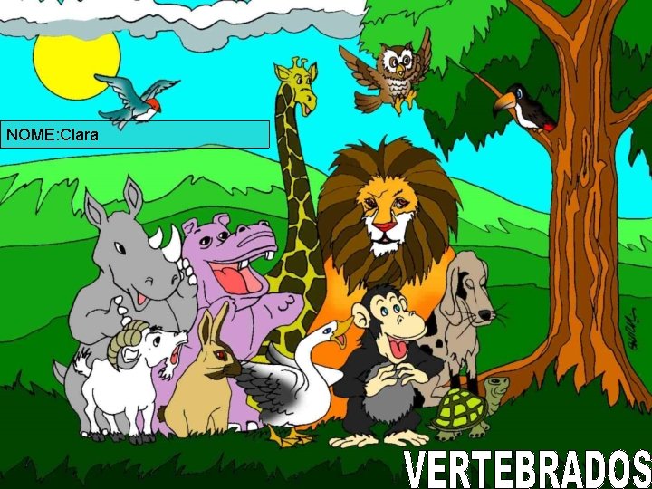 NOME: Clara 