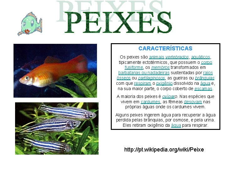 CARACTERÍSTICAS Os peixes são animais vertebrados, aquáticos, tipicamente ectotérmicos, que possuem o corpo fusiforme,