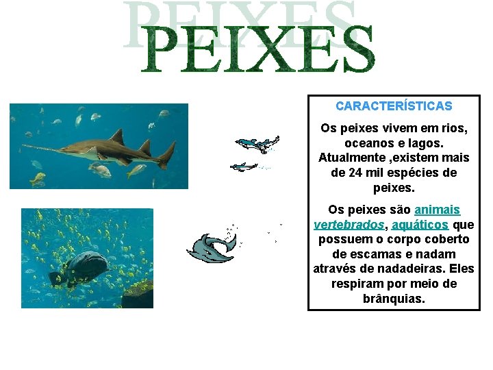 CARACTERÍSTICAS Os peixes vivem em rios, oceanos e lagos. Atualmente , existem mais de