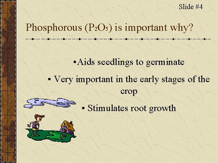 Slide #4 Phosphorous (P 2 O 5) is important why? • Aids seedlings to