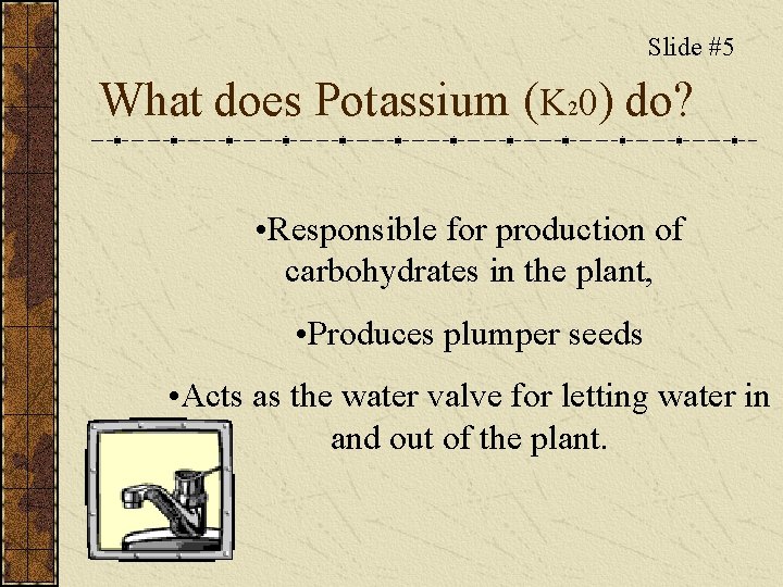 Slide #5 What does Potassium (K 20) do? • Responsible for production of carbohydrates