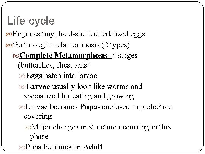 Life cycle Begin as tiny, hard-shelled fertilized eggs Go through metamorphosis (2 types) Complete