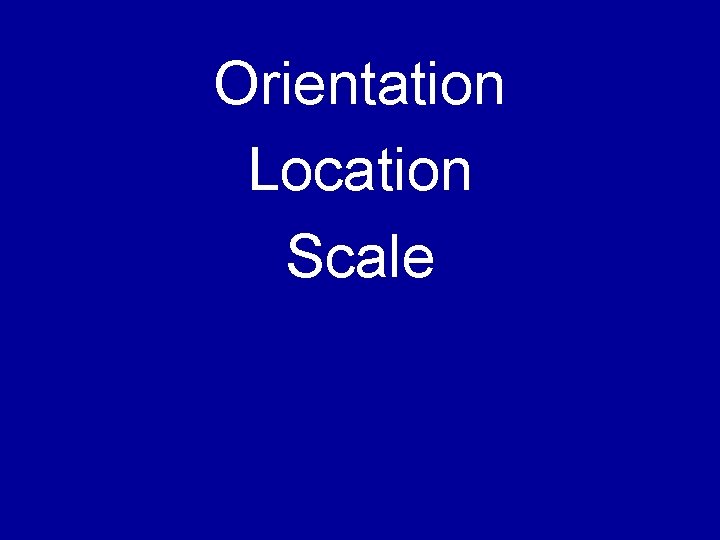 Orientation Location Scale 