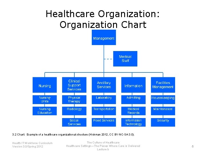 Healthcare Organization: Organization Chart 3. 2 Chart: Example of a healthcare organizational structure (Hickman