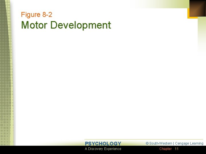 Figure 8 -2 Motor Development PSYCHOLOGY A Discovery Experience © South-Western | Cengage Learning