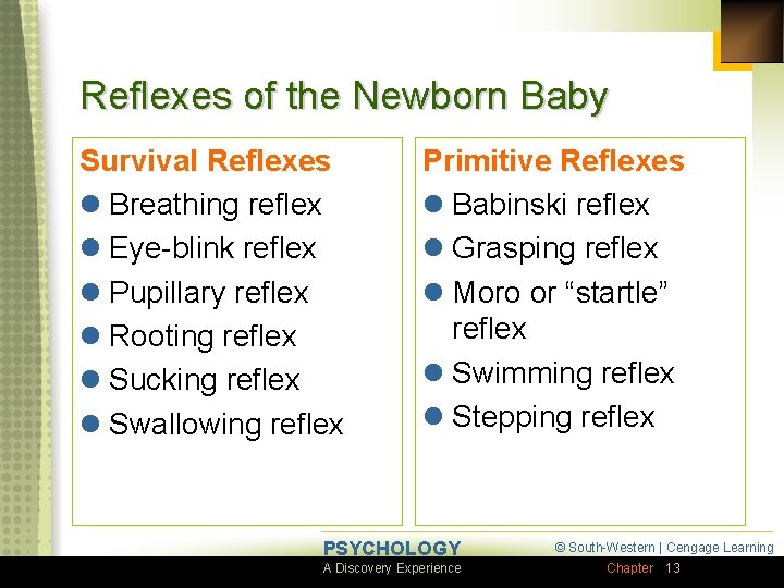 Reflexes of the Newborn Baby Survival Reflexes l Breathing reflex l Eye-blink reflex l
