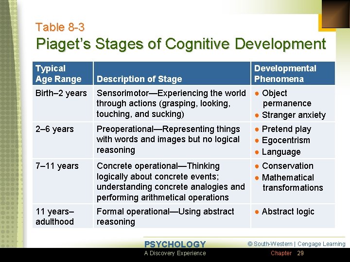 Table 8 -3 Piaget’s Stages of Cognitive Development Typical Age Range Description of Stage