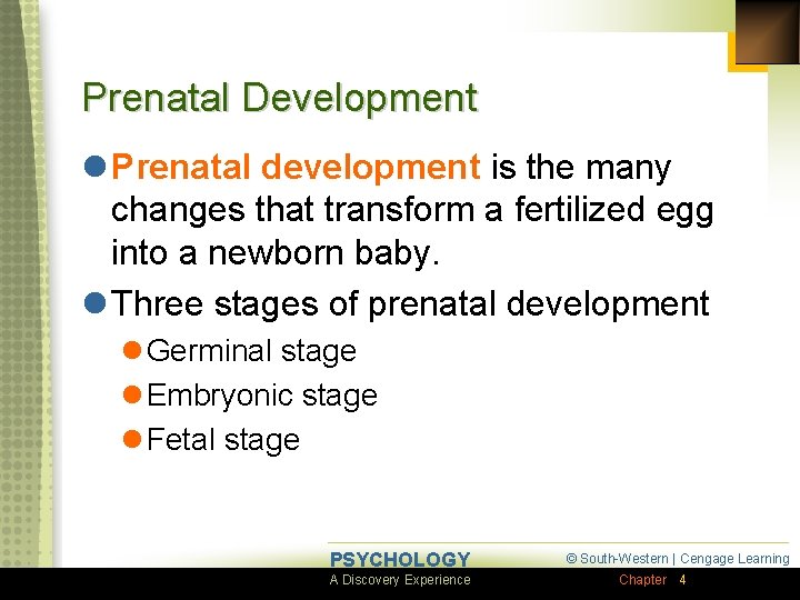 Prenatal Development l Prenatal development is the many changes that transform a fertilized egg