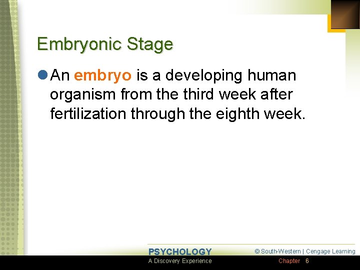 Embryonic Stage l An embryo is a developing human organism from the third week